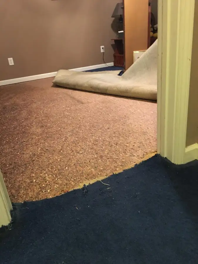Carpet pad removal revealing water damage during Drying & Dehumidification in Midway City