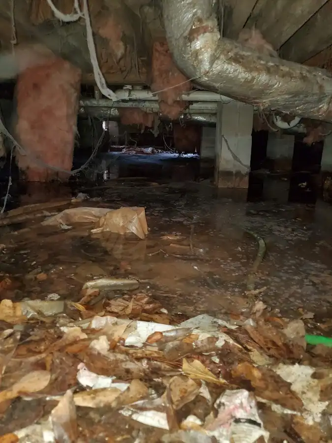 Crawl space flood assessment for Leak Detection & Repair in Midway City